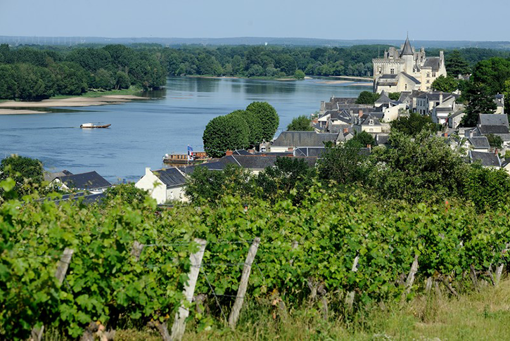 Saumur. Un monde miniature à découvrir 